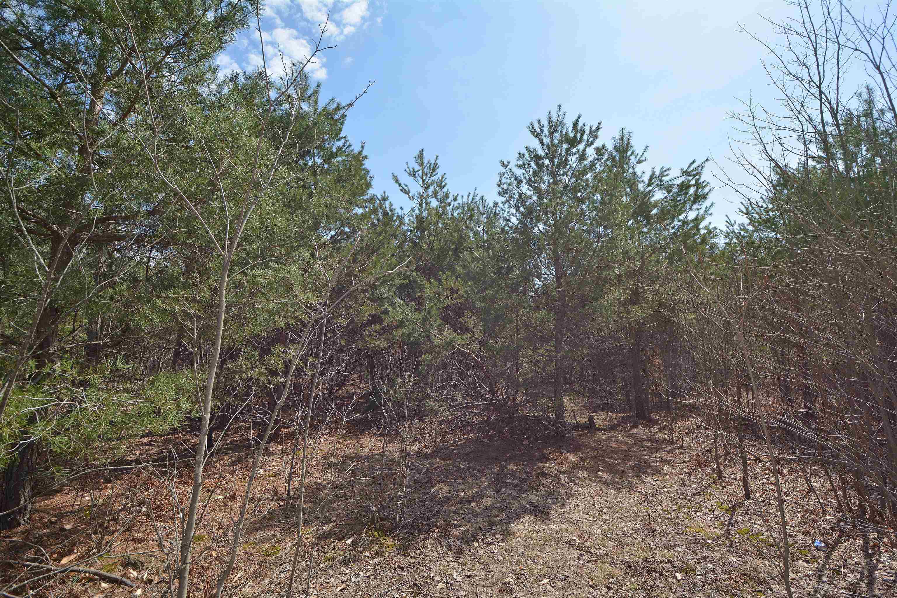 0 South Weldon Road Beulah, MI 49617 - Photo 9 of 11