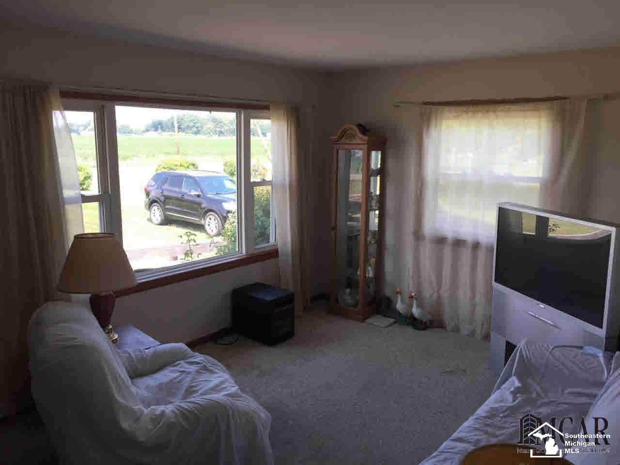 3765 Luna Road Erie, MI 48133 - Photo 4 of 9 Living Room
