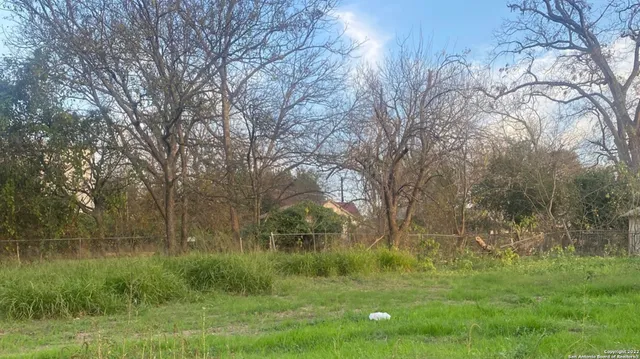a view of a lush green space