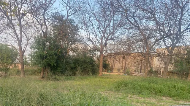 a view of backyard with green space