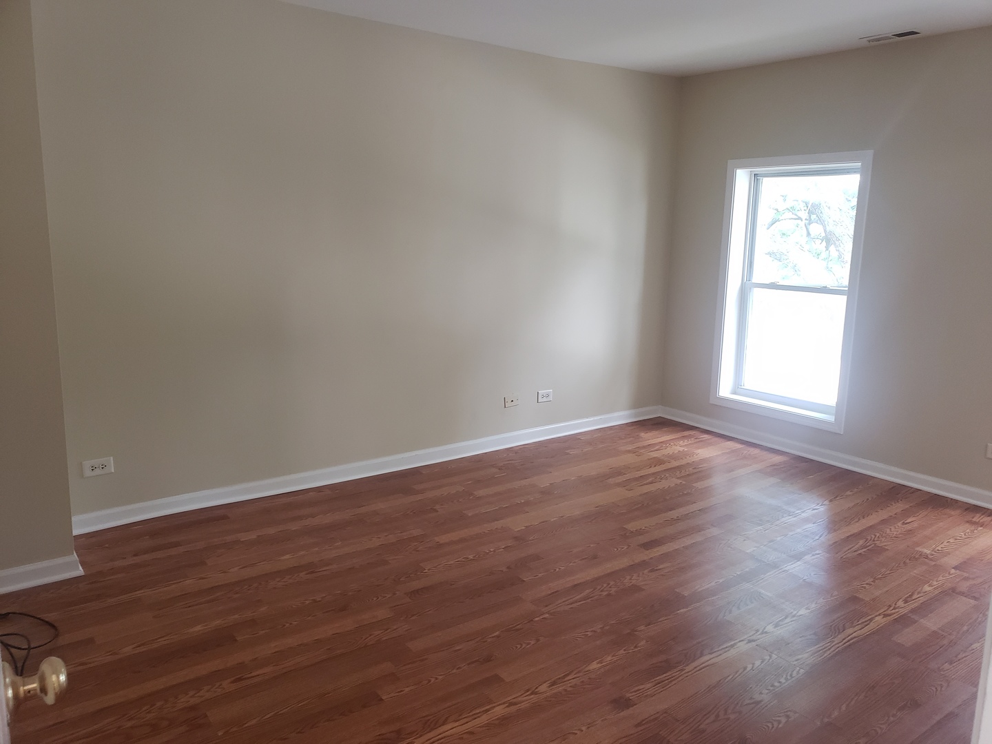 322 North County Street, Unit FRONT Waukegan, IL 60085 - Photo 11 of 15 wooden floor in an empty room with a window