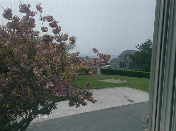 6 Hammock Pond Road, Unit 6 Mashpee, MA 02649 - Photo 4 of 18