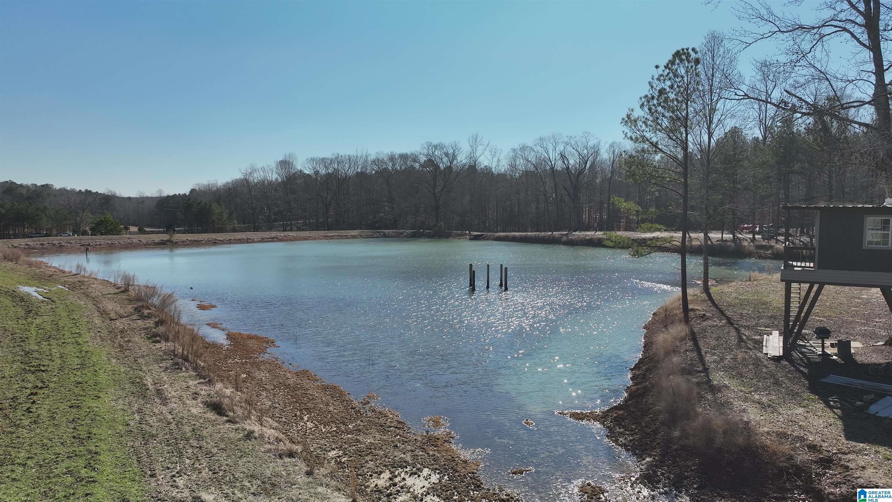 6171 Highway 102, Unit 1 Fayette, AL 35555 - Photo 15 of 68