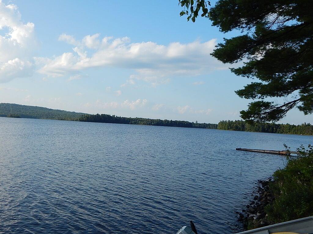 65 Sandy Shore Road Burlington, ME 04417 - Photo 8 of 12 Time to go fishing