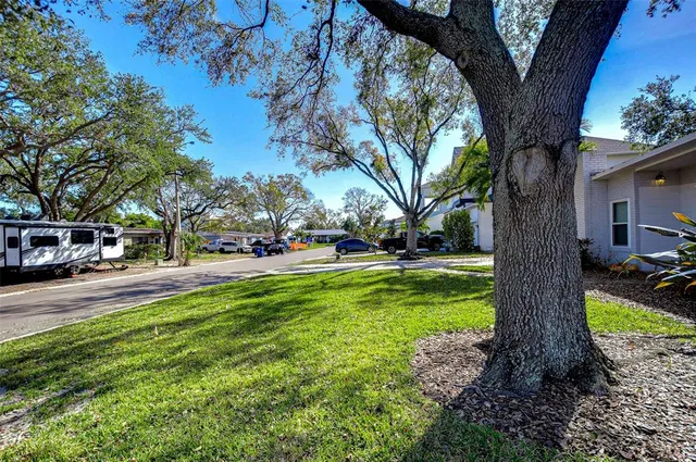 a view of street with large trees