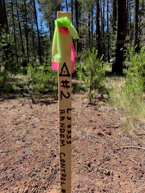 17020 Island Loop Way Bend, OR 97707 - Photo 9 of 11 Surveyor's stake at front, for center point only. Lot is not being surveyed.