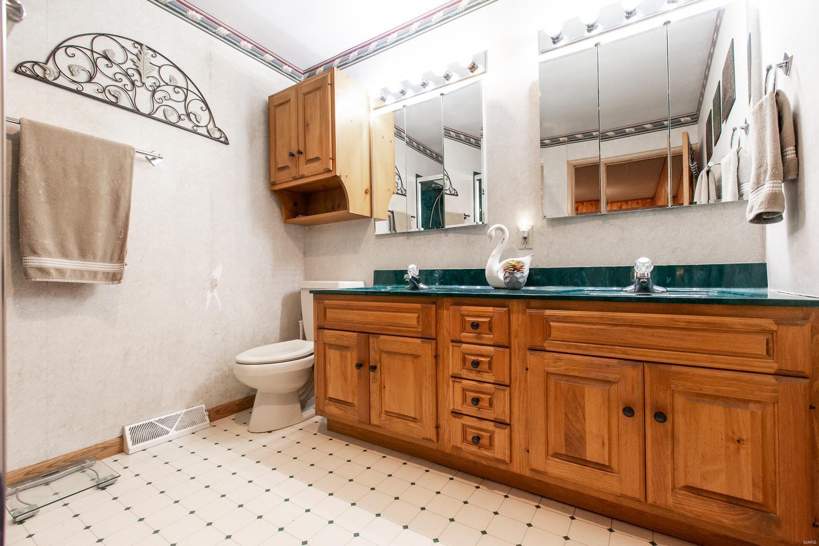 11115 Widicus Road Lebanon, IL 62254 - Photo 27 of 55