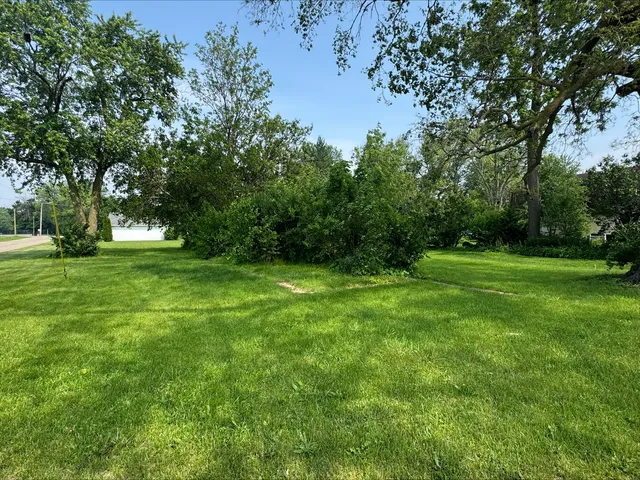 a view of a grassy field with trees