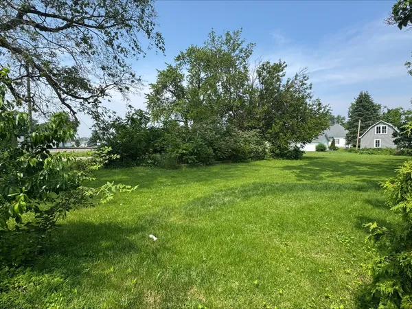 a view of a grassy field with trees