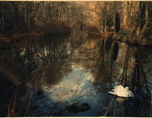 Lot 13 Cobbs Mill Road Wilton, CT 06897 - Photo 1 of 1 Gallery Image 1