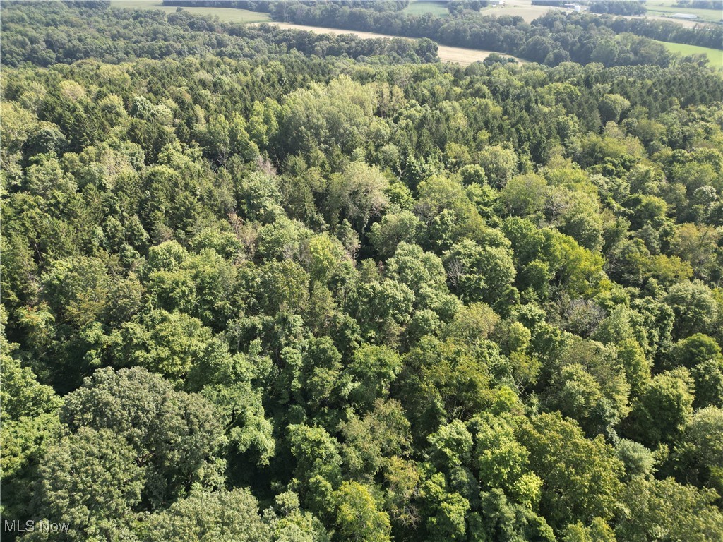 Toll Gate Road Northwest Somerset, OH 43783 - Photo 3 of 40 Aerial view of property and surrounding area with a forest