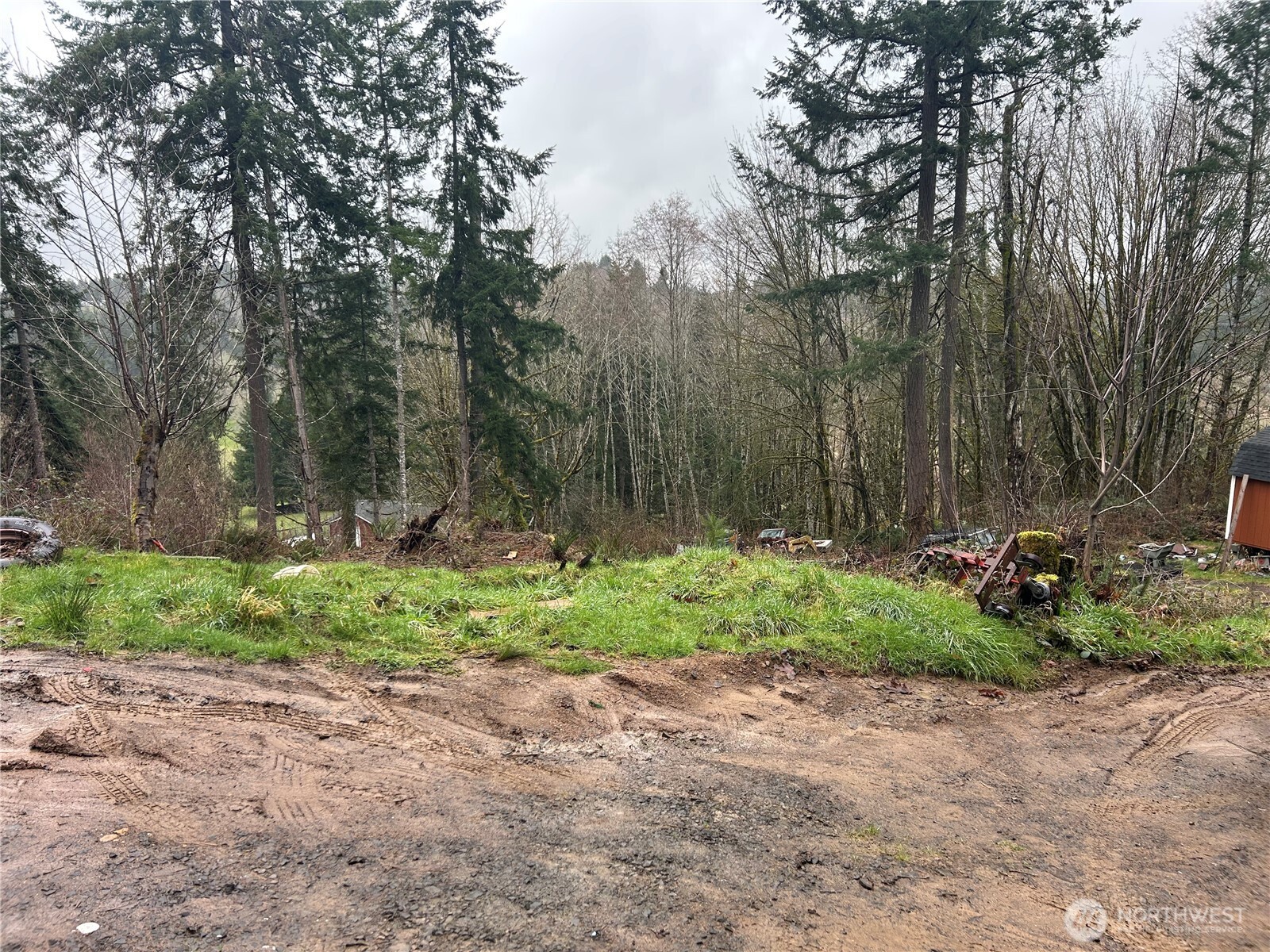 514 Berry Road Chehalis, WA 98532 - Photo 2 of 5 a view of backyard and tree