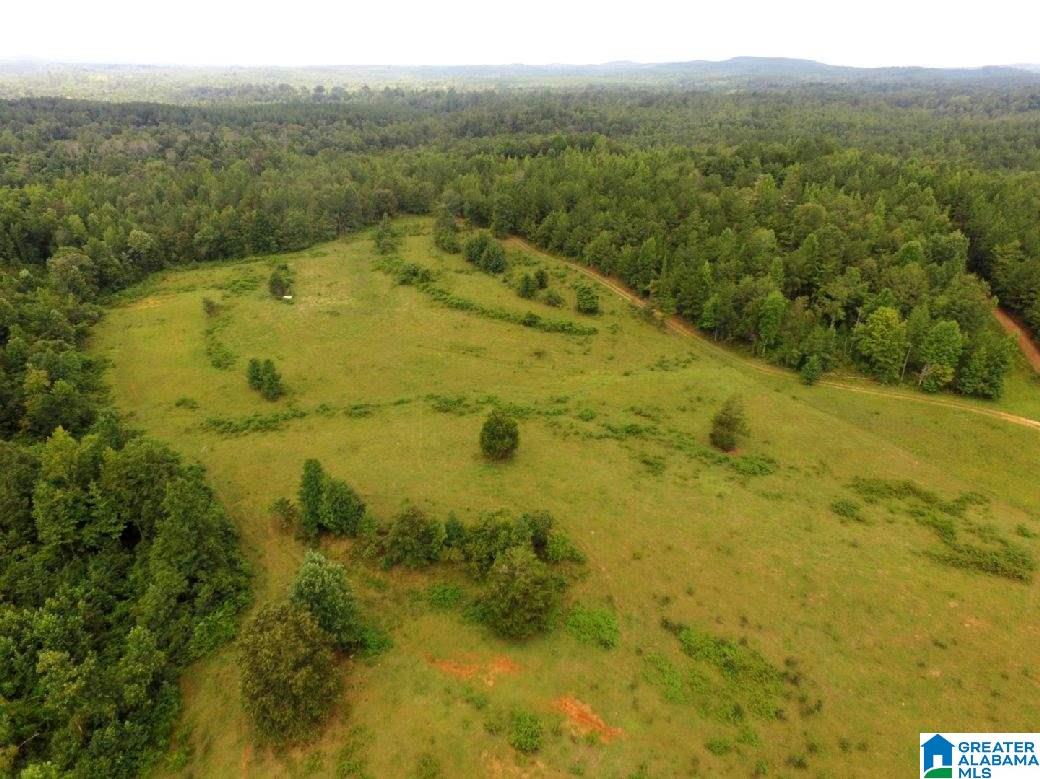 796 Alawashky Road, Unit 46 ACRES Ashland, AL 36251 - Photo 5 of 17
