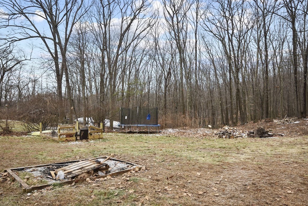 22 Carleton Road Leicester, MA 01542 - Photo 27 of 28 a view of outdoor space with lounge chair