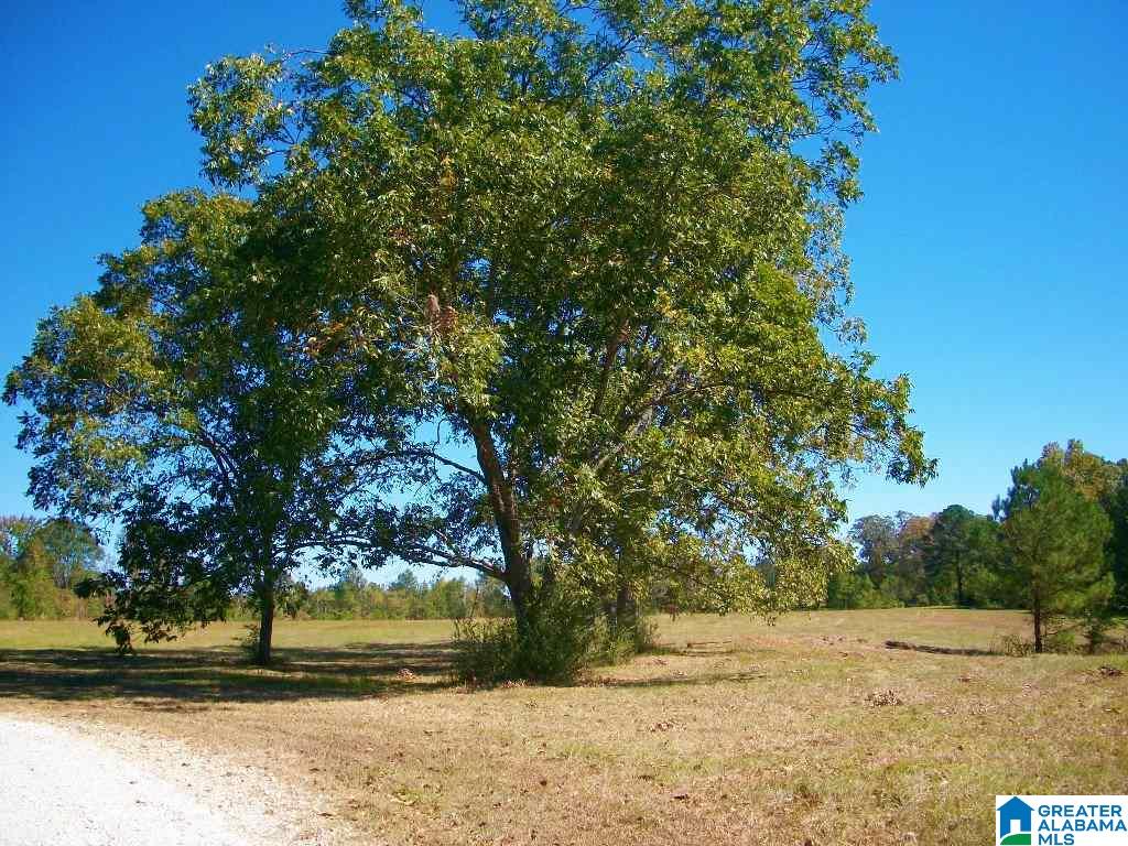 205 Gessler Drive Ohatchee, AL 36271 - Photo 36 of 50