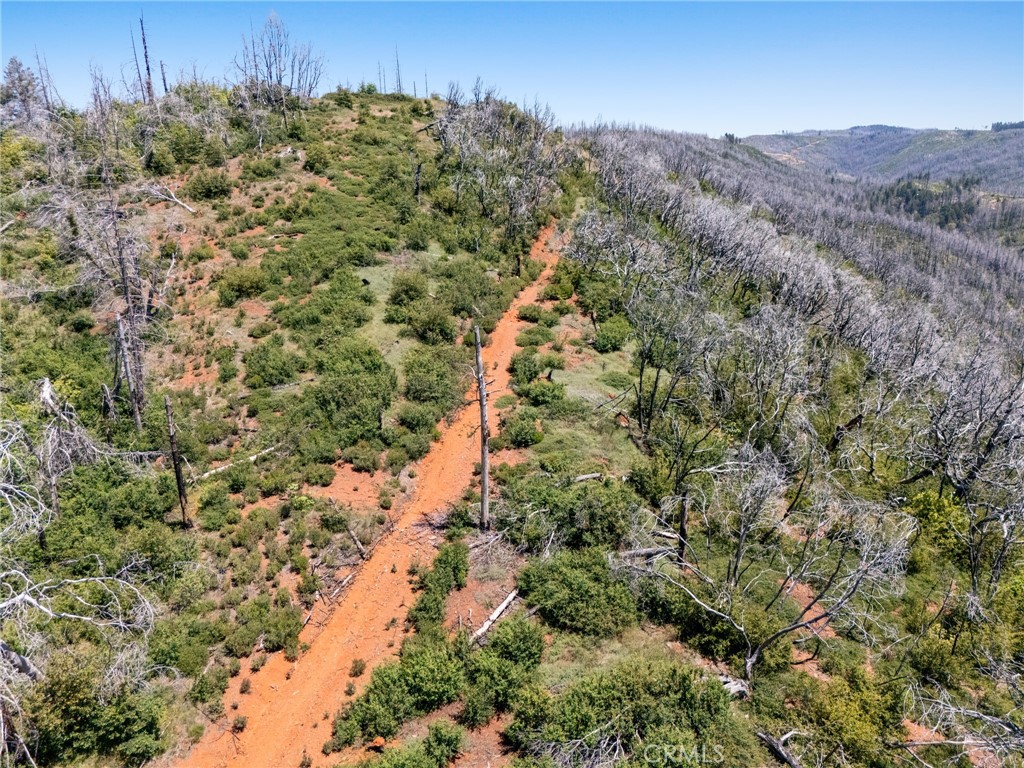 0 Stephens Ridge Road Berry Creek, CA 95916 - Photo 7 of 8