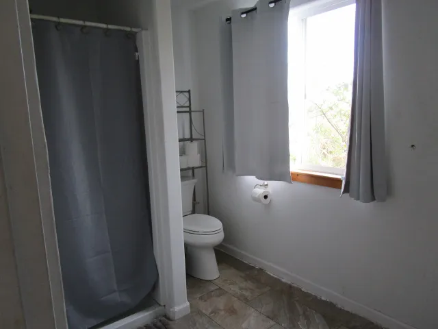 a bathroom with a toilet and a shower curtain