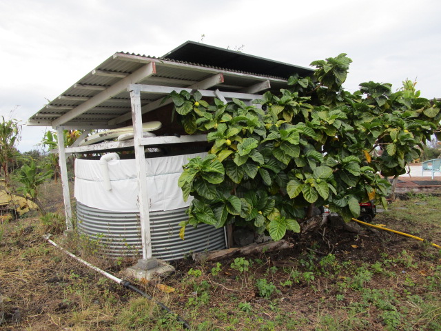 89-902 Rd Road Captain Cook, HI 96704 - Photo 18 of 30 a view of a small yard