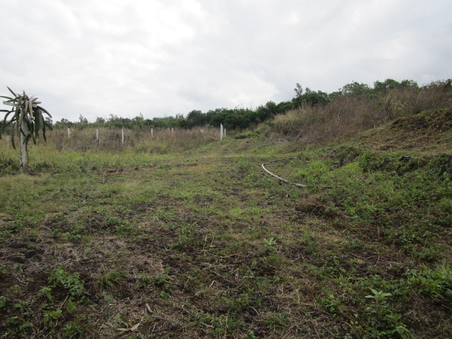 89-902 Rd Road Captain Cook, HI 96704 - Photo 25 of 30 a view of a field of grass and trees
