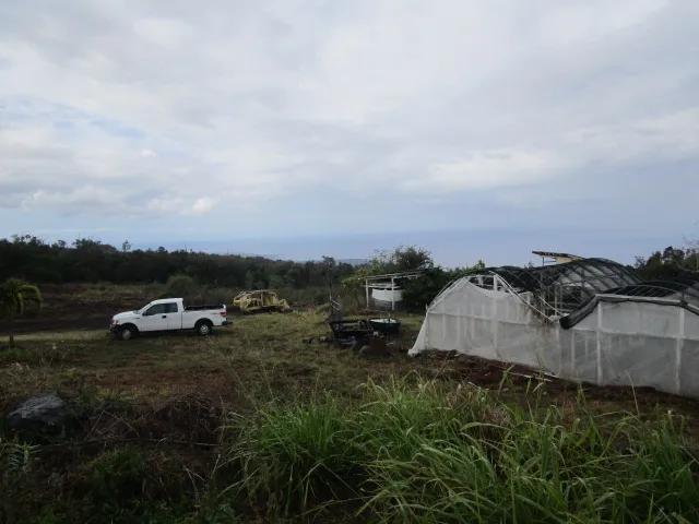 a view of a lake in middle of forest