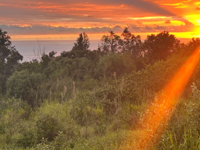 89-902 Rd Road Captain Cook, HI 96704 - Photo 30 of 30