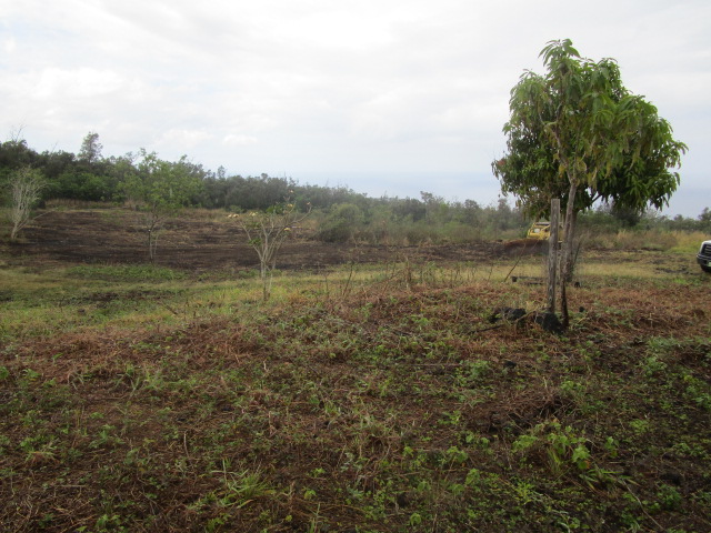 89-902 Rd Road Captain Cook, HI 96704 - Photo 4 of 30 a view of outdoor space and trees