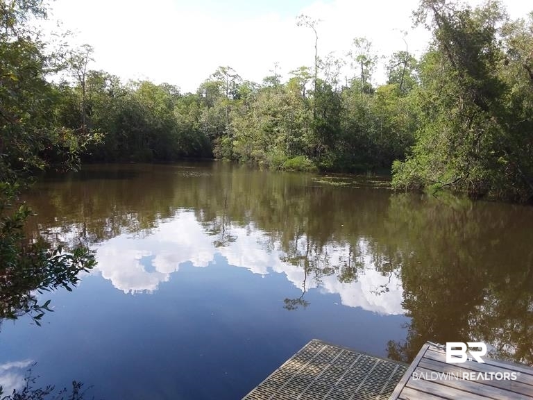 20151 Erin Pond Road Seminole, AL 36574 - Photo 69 of 70