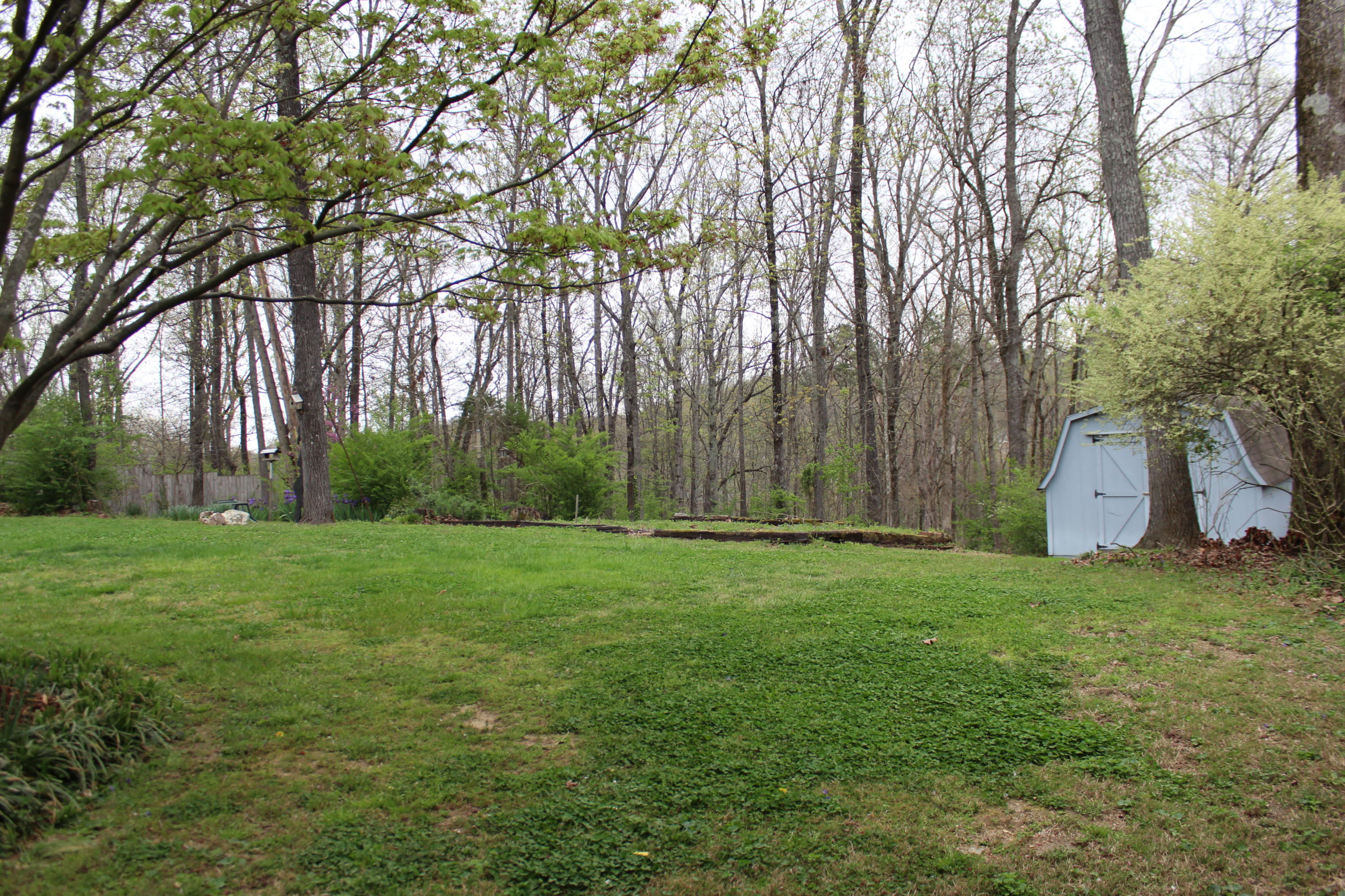 336 Hickory Ridge Trail Ringgold, GA 30736 - Photo 18 of 19 IMG_2273