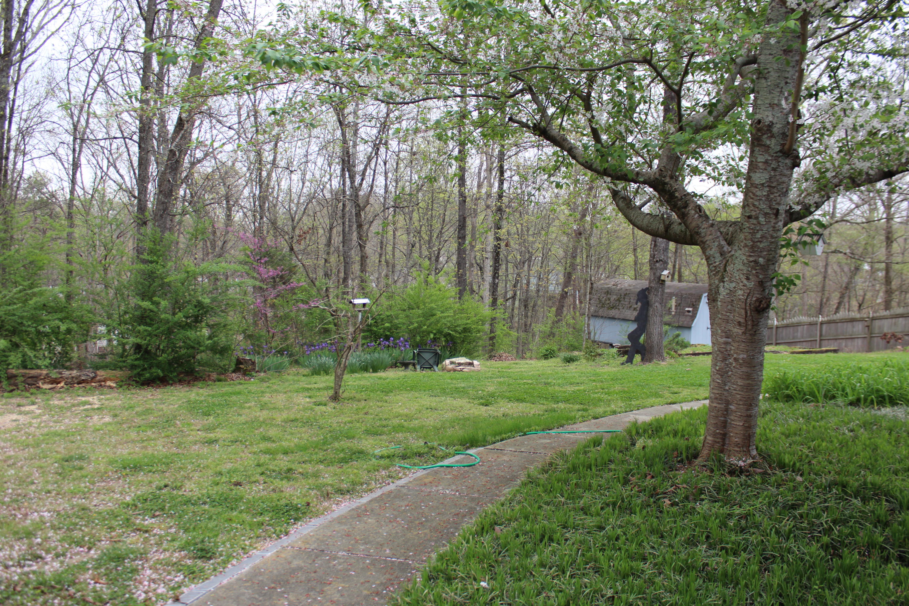 336 Hickory Ridge Trail Ringgold, GA 30736 - Photo 19 of 19 IMG_2280