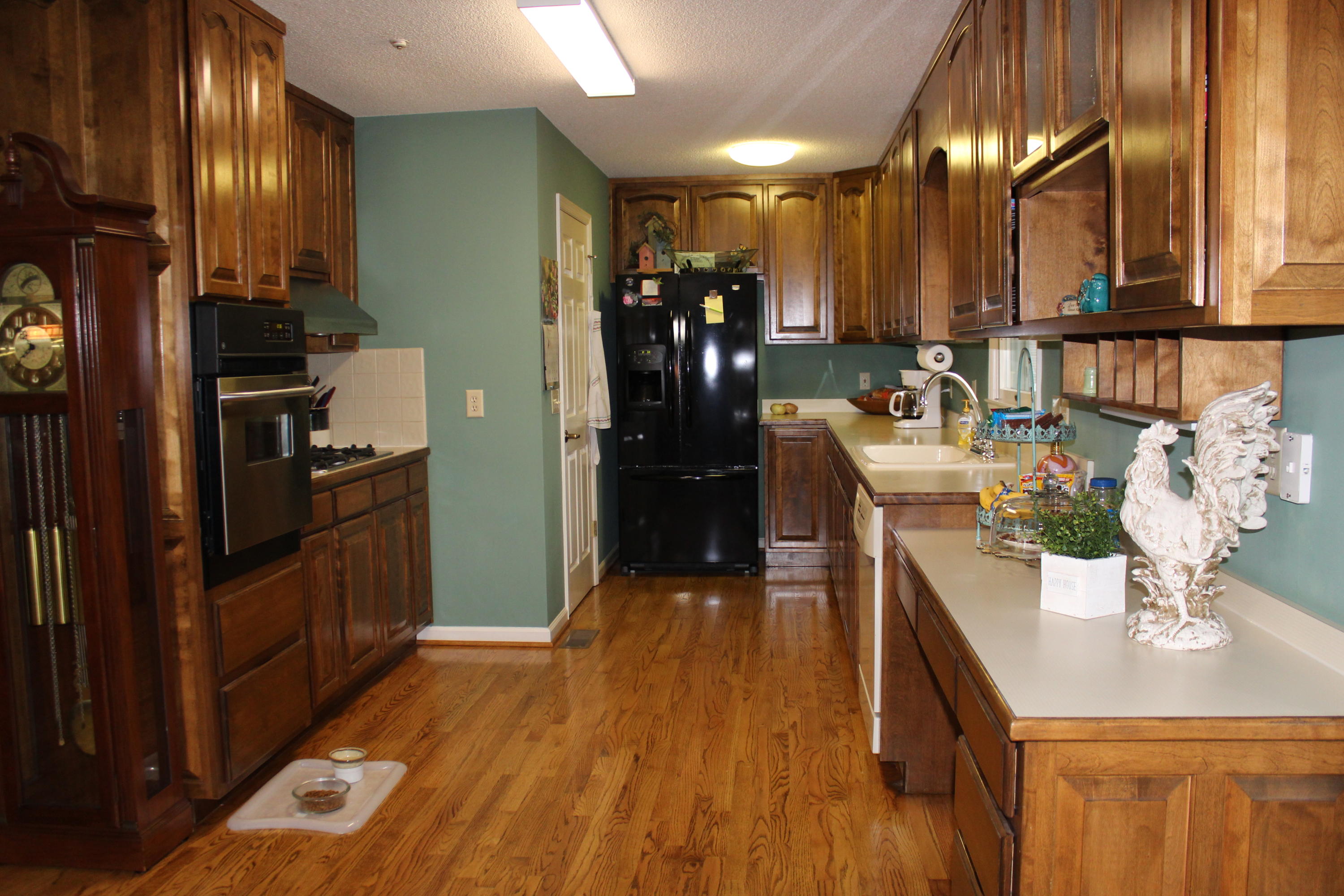 336 Hickory Ridge Trail Ringgold, GA 30736 - Photo 3 of 19 IMG_2225
