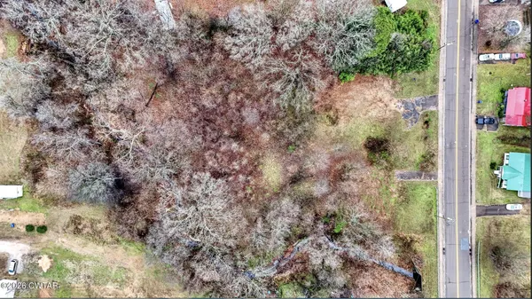 a view of a yard with plants and wooden fence