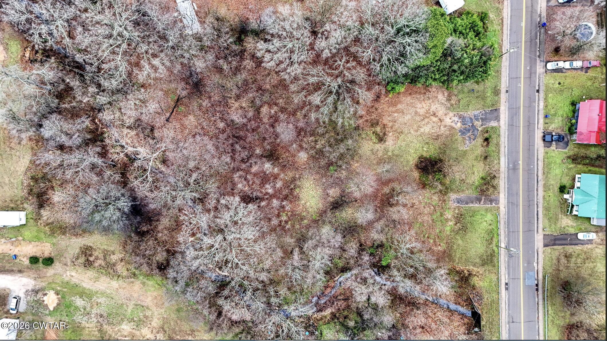 641 Forrest Avenue McKenzie, TN 38201 - Photo 2 of 11 a view of a yard with plants and wooden fence