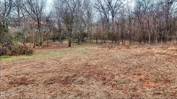 a view of outdoor space with trees