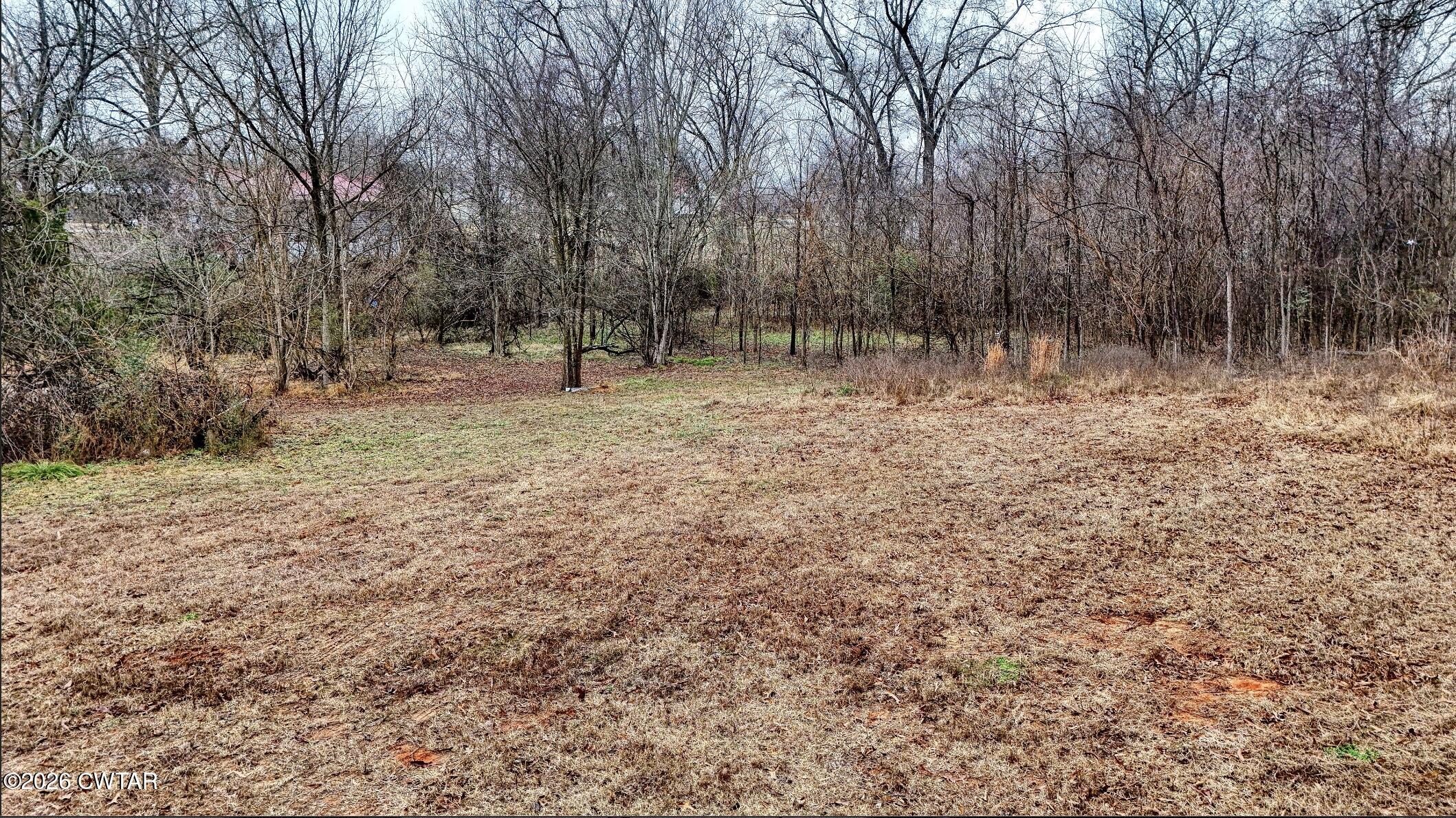 641 Forrest Avenue McKenzie, TN 38201 - Photo 3 of 11 a view of outdoor space with trees
