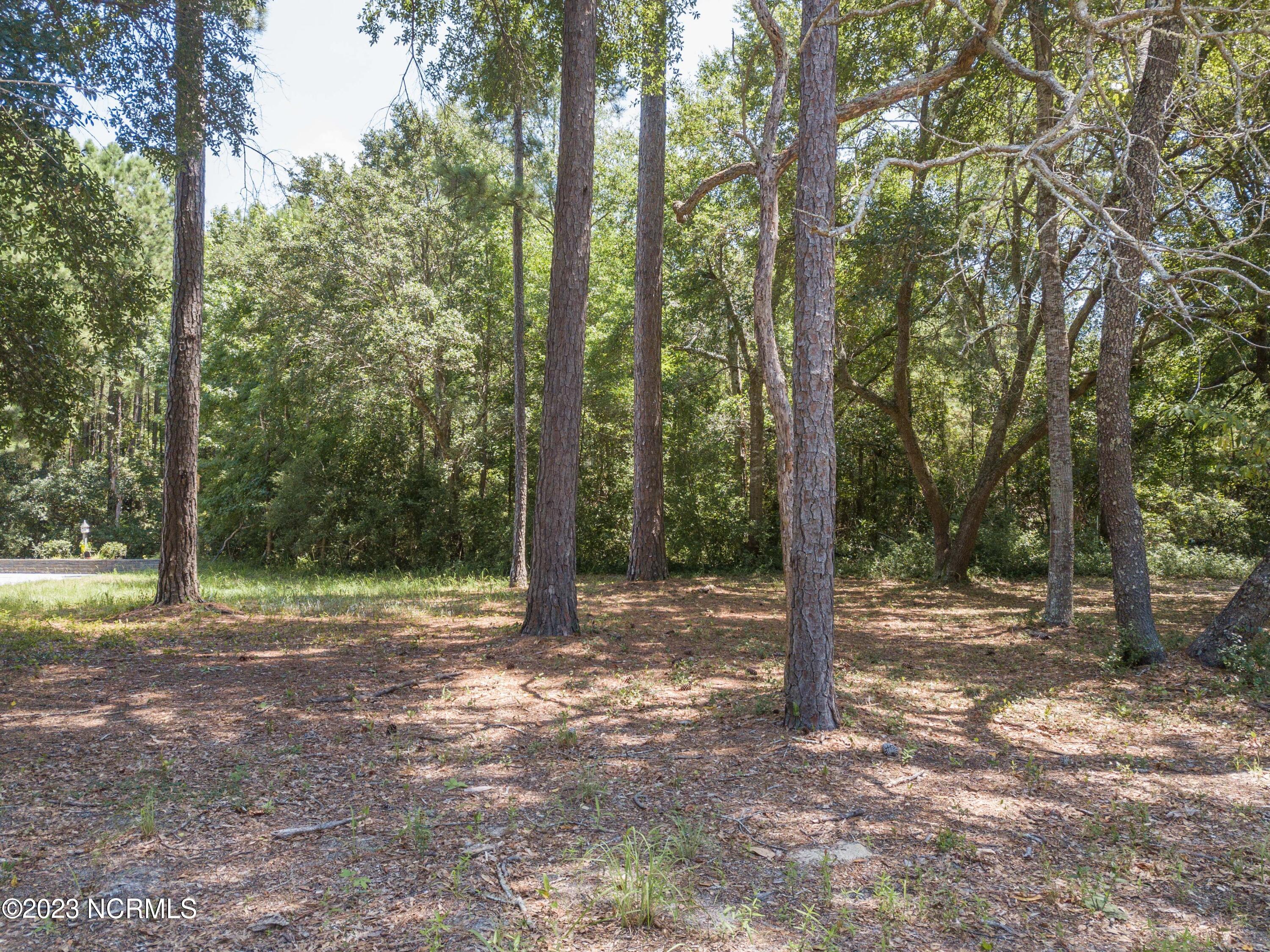 9136 East Bramshill Road Southwest Calabash, NC 28467 - Photo 5 of 11 Partially cleared