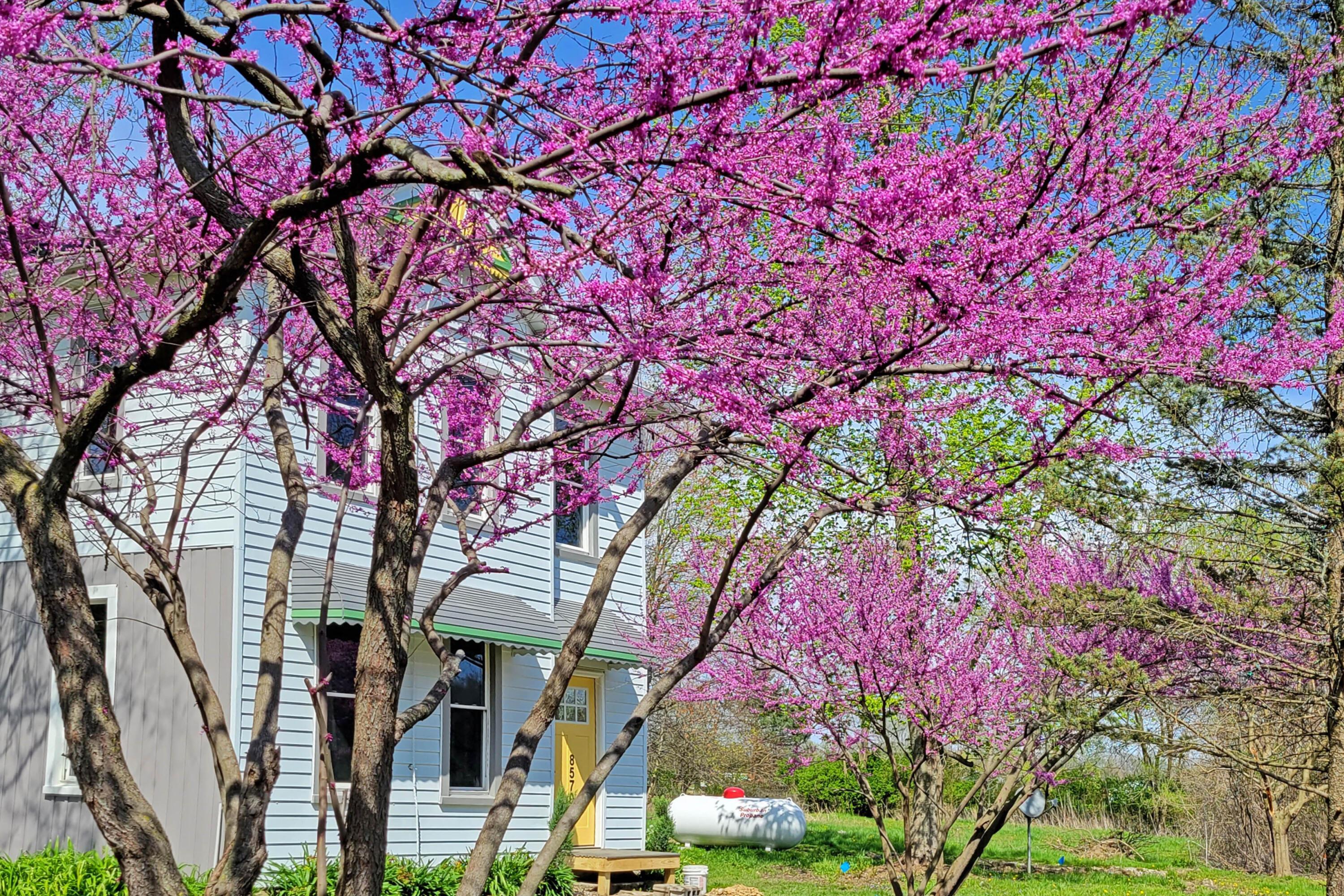 8579 Kilbourne Road Sunbury, OH 43074 - Photo 50 of 50 8579KilbourneRoad_edit