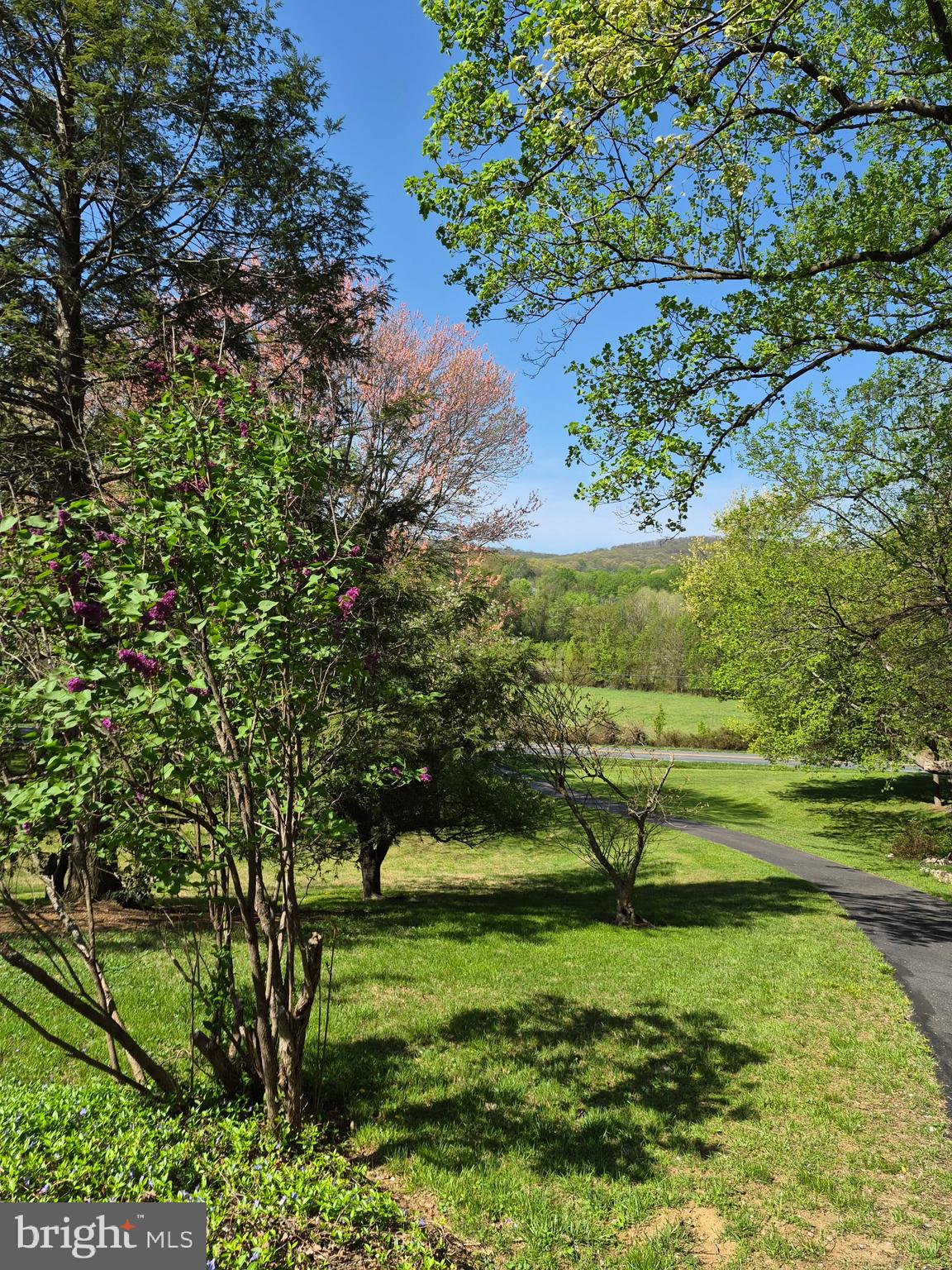 8315 Rocky Springs Road Frederick, MD 21702 - Photo 2 of 6