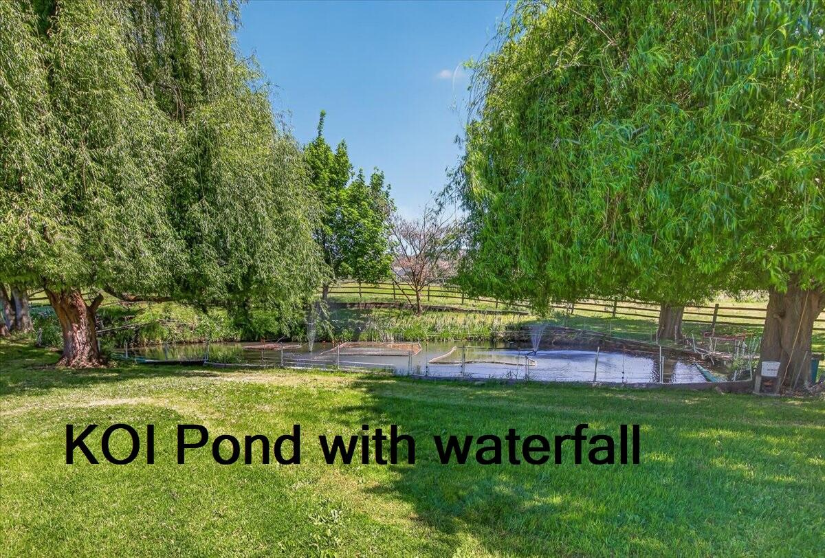 39 East Valley View Road Ashland, OR 97520 - Photo 4 of 73 56-56