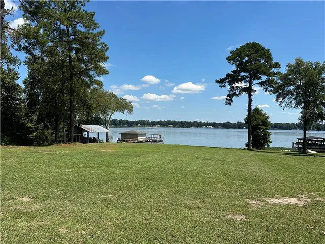a view of a house with a yard and a large tree