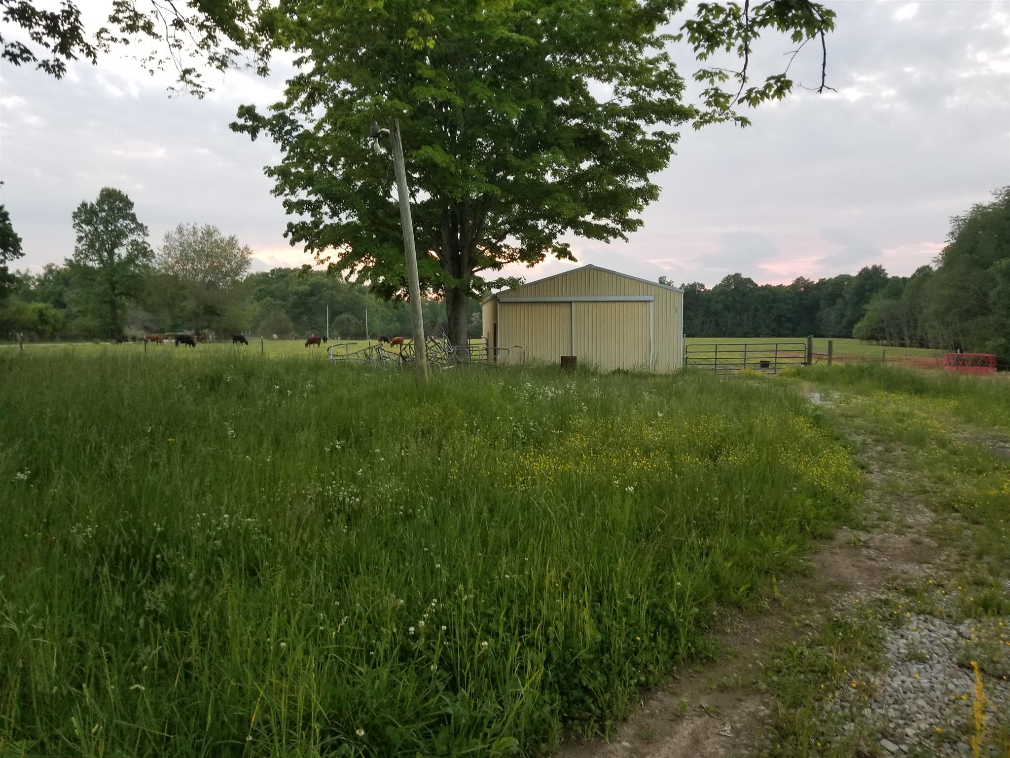 668 Walden Ridge Road Manchester, TN 37355 - Photo 2 of 7 a view of a backyard of the house