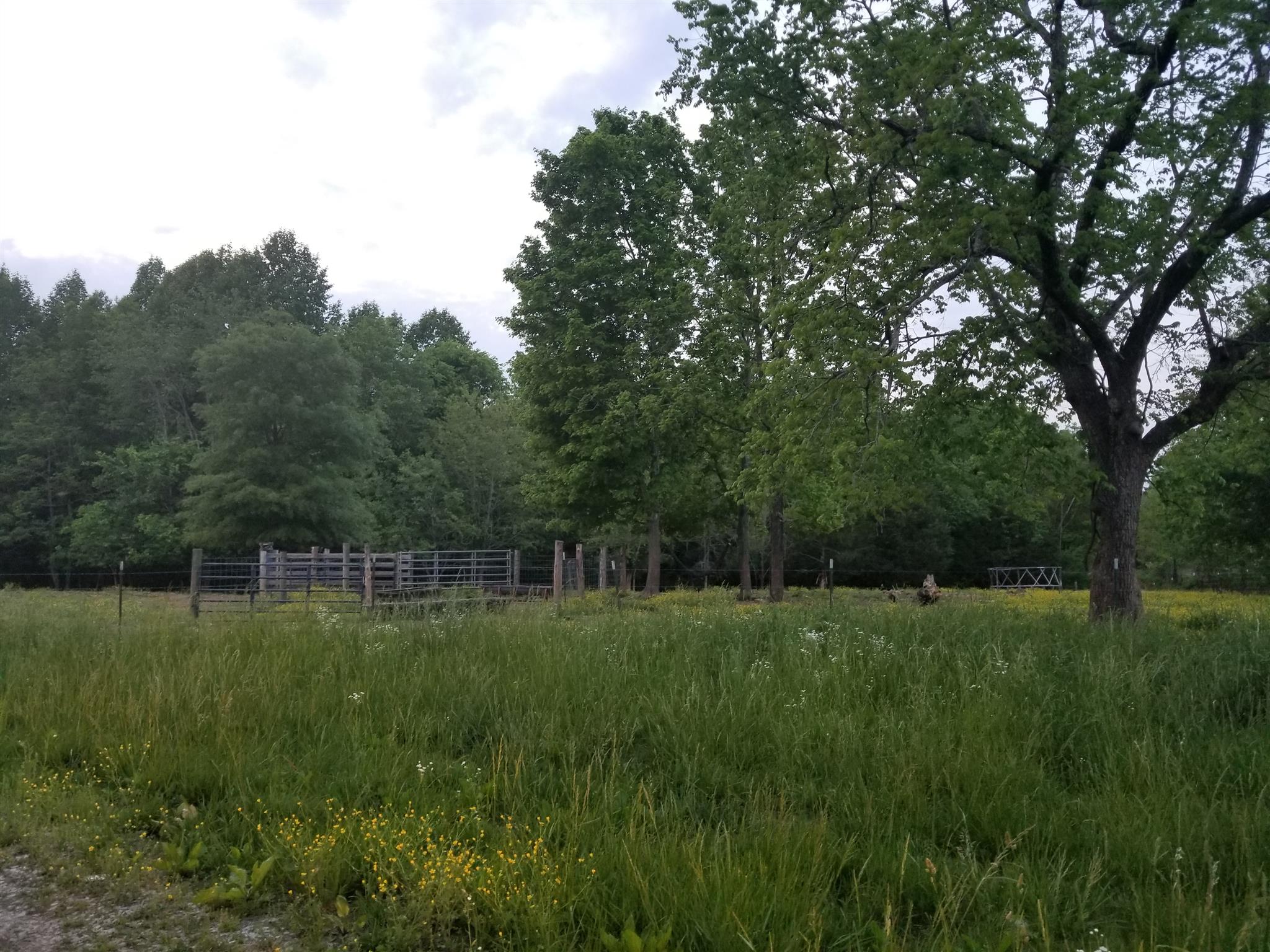 668 Walden Ridge Road Manchester, TN 37355 - Photo 6 of 7 a backyard of a house with lots of green space