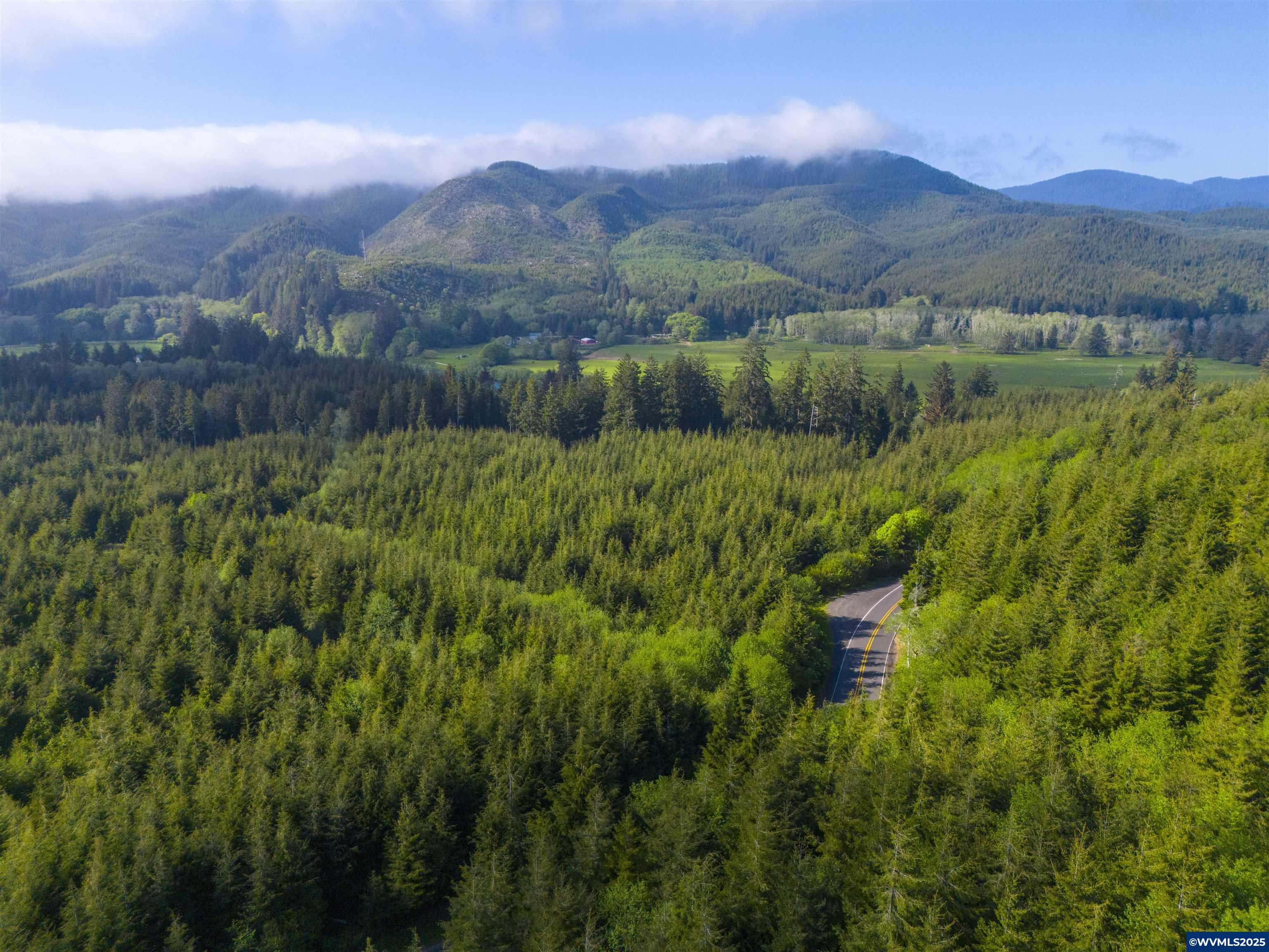 0 South Elmer Miller Road Lincoln City, OR 97367 - Photo 22 of 23