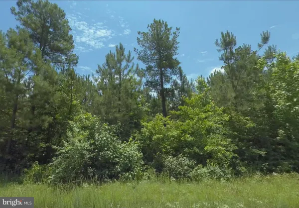 $38,950 | Lot 6 Dillard Road, Lawrenceville, VA 23868