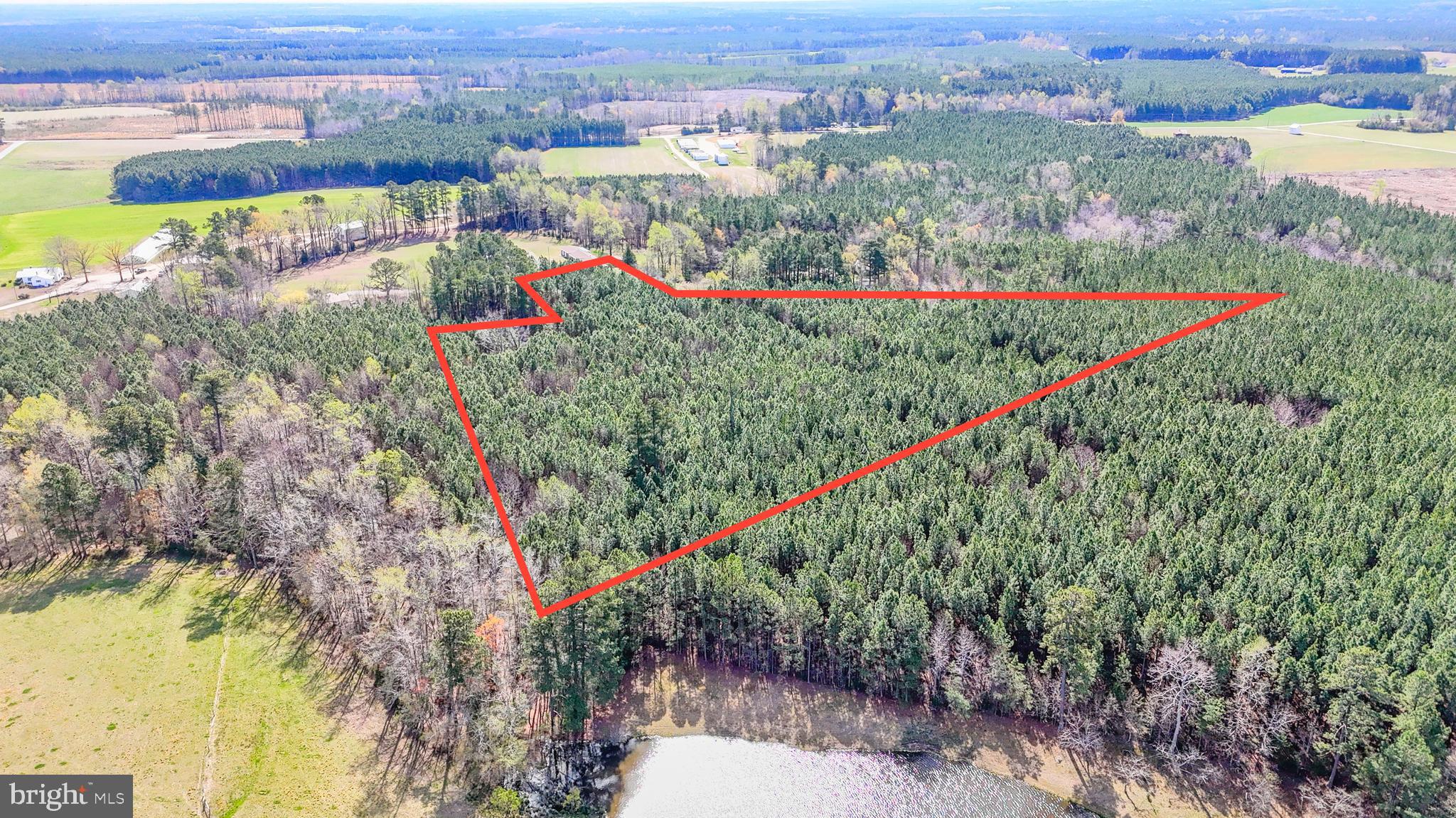 Lot 6 Dillard Road Lawrenceville, VA 23868 - Photo 13 of 15