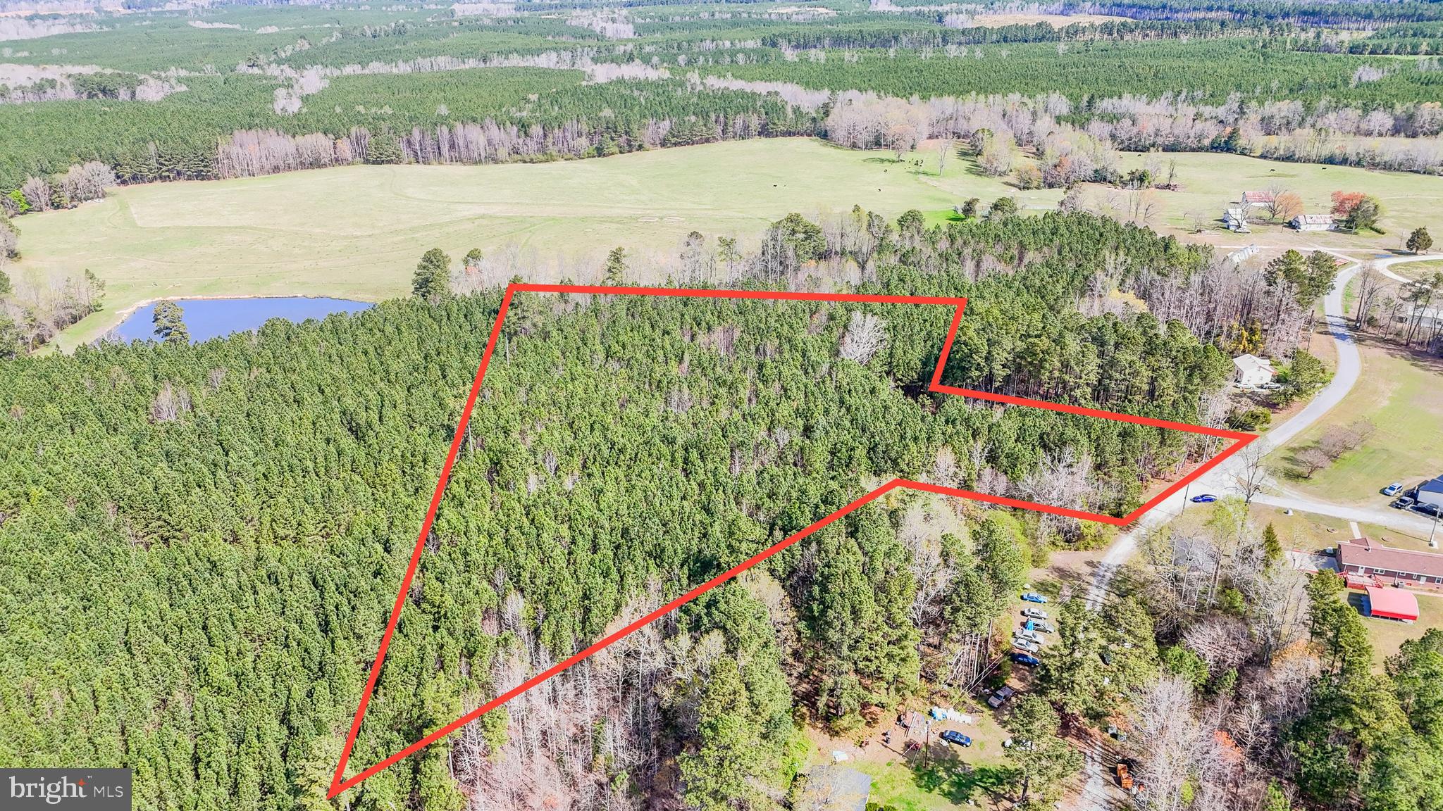Lot 6 Dillard Road Lawrenceville, VA 23868 - Photo 15 of 15