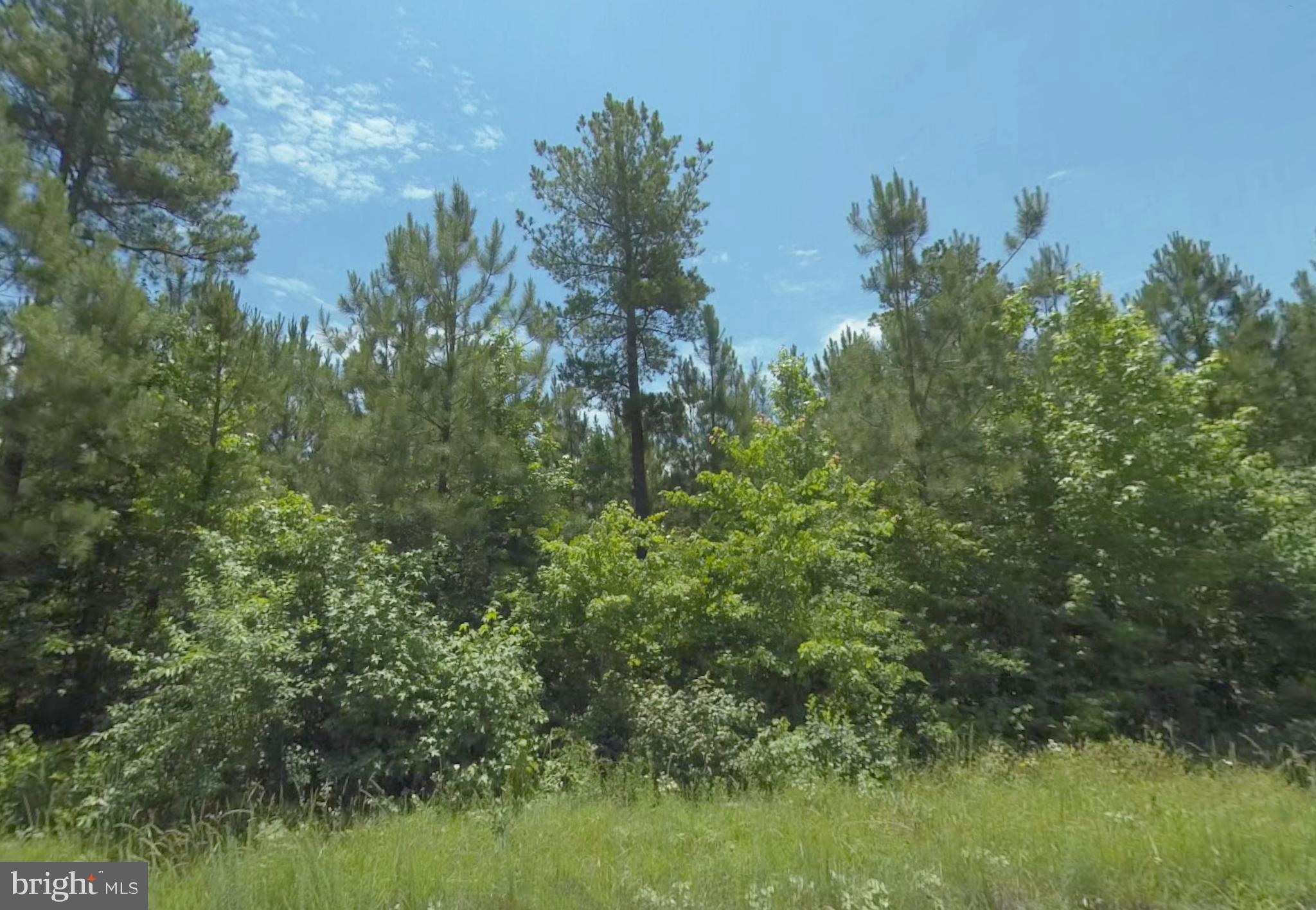 Lot 6 Dillard Road Lawrenceville, VA 23868 - Photo 2 of 10