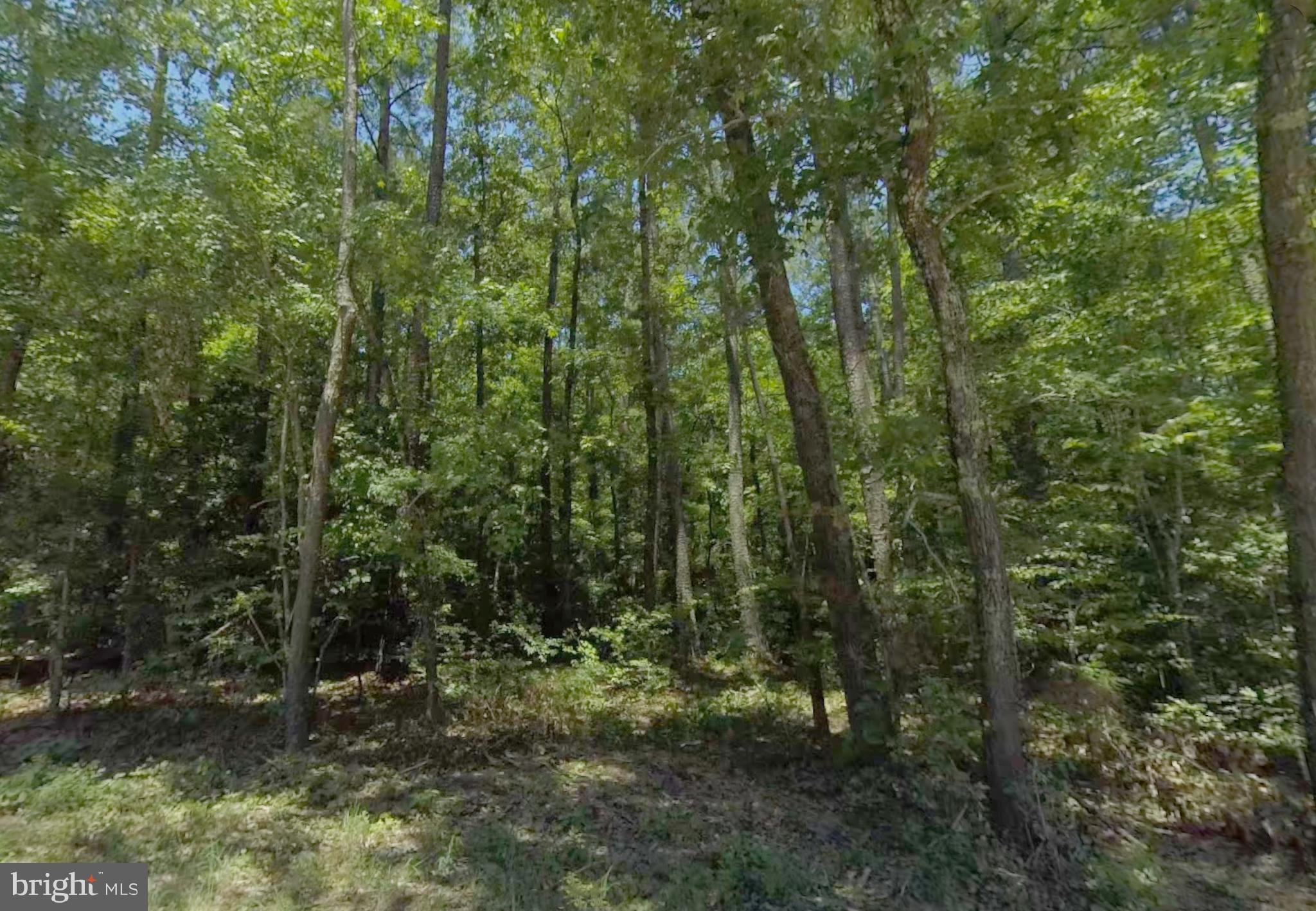 Lot 6 Dillard Road Lawrenceville, VA 23868 - Photo 3 of 10