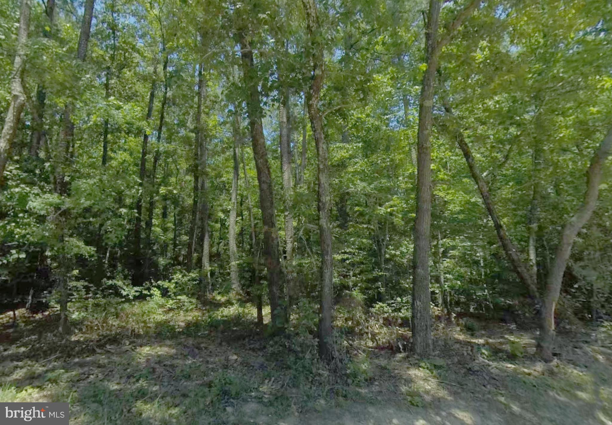 Lot 6 Dillard Road Lawrenceville, VA 23868 - Photo 4 of 10