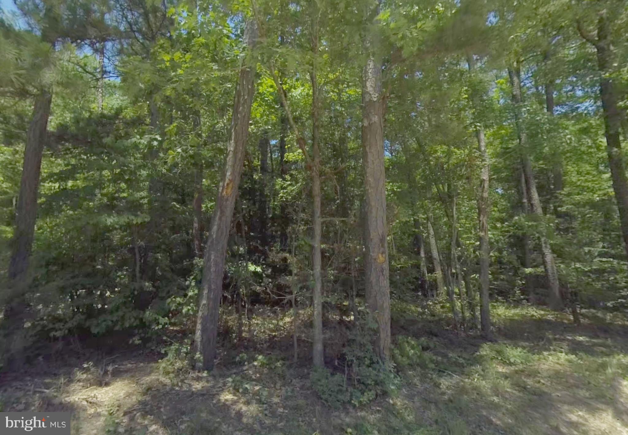 Lot 6 Dillard Road Lawrenceville, VA 23868 - Photo 5 of 10