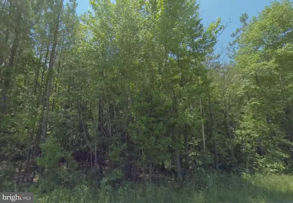 $38,950 | Lot 6 Dillard Road, Lawrenceville, VA 23868